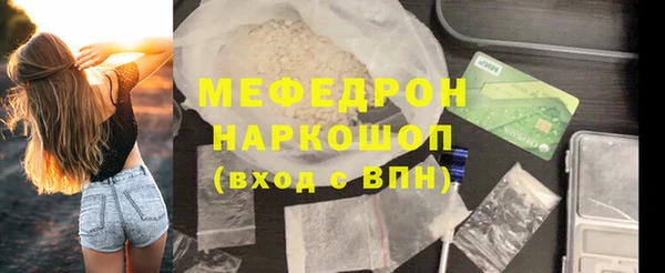 индика Инта