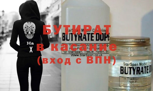 индика Инта