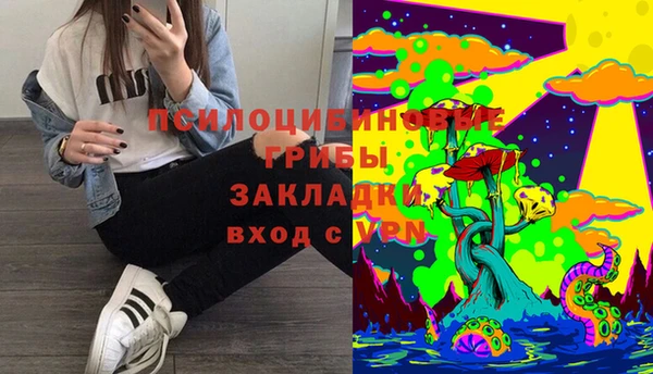 мдма Инсар