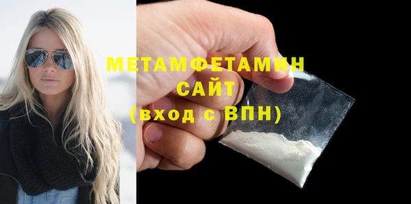индика Инта