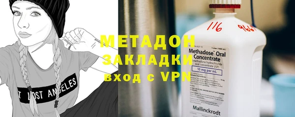 индика Инта