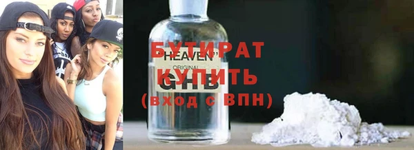 индика Инта