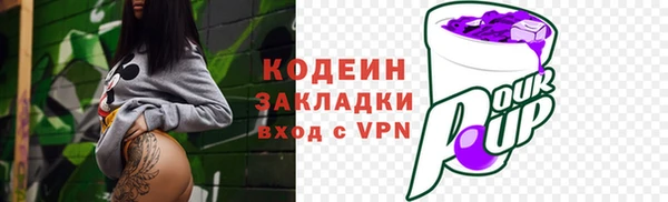 индика Инта