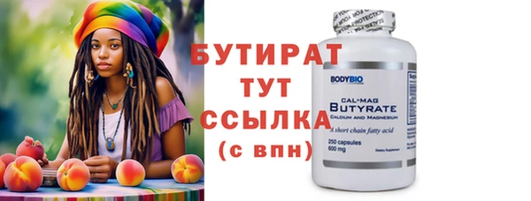 индика Инта