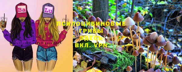 индика Инта