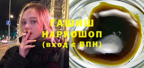 индика Инта