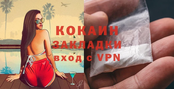 индика Инта