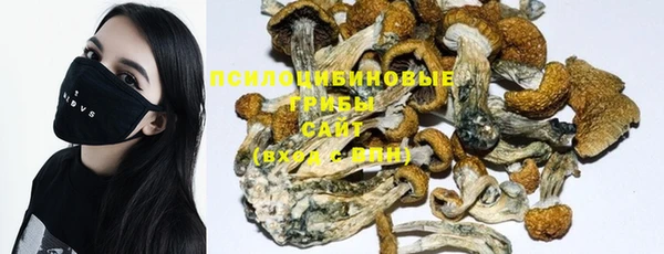 Альфа ПВП Иннополис