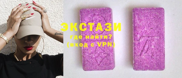 индика Инта