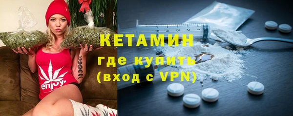 индика Инта