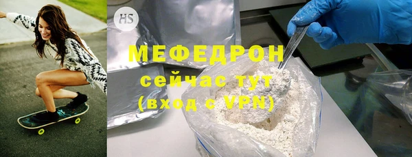 индика Инта