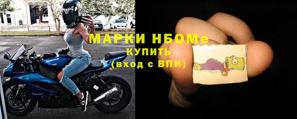 индика Инта