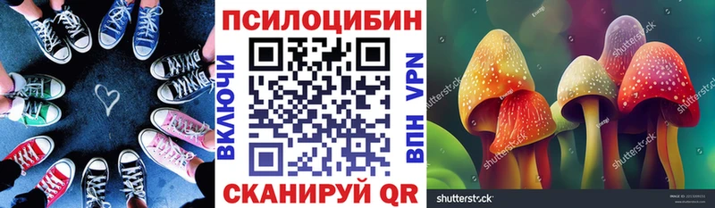 Псилоцибиновые грибы Psilocybe  Купить где  Называевск 